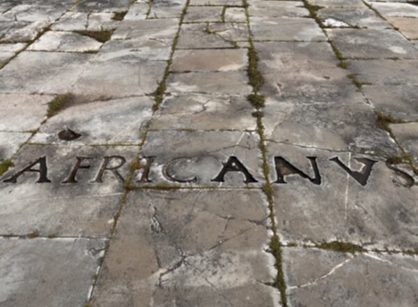Africanus 600