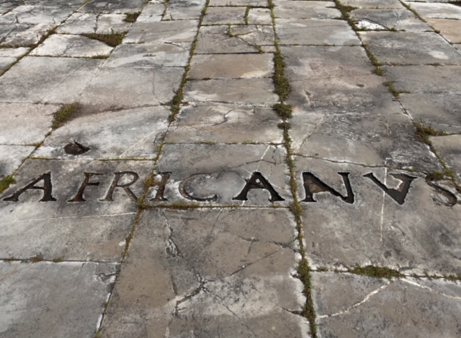 Africanus 900