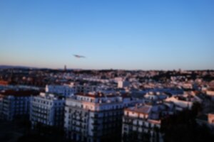 Algiers 300