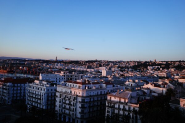 Algiers 600