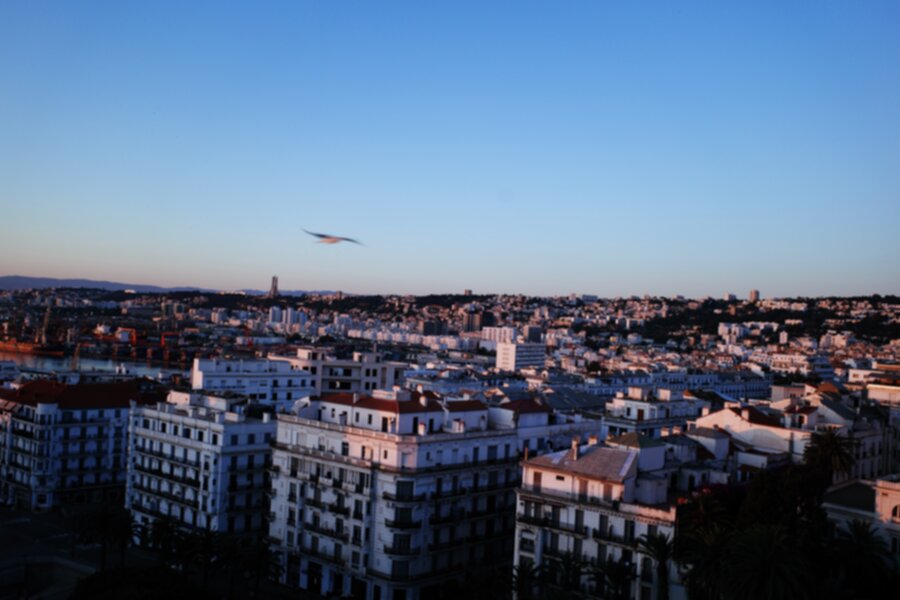 Algiers 900