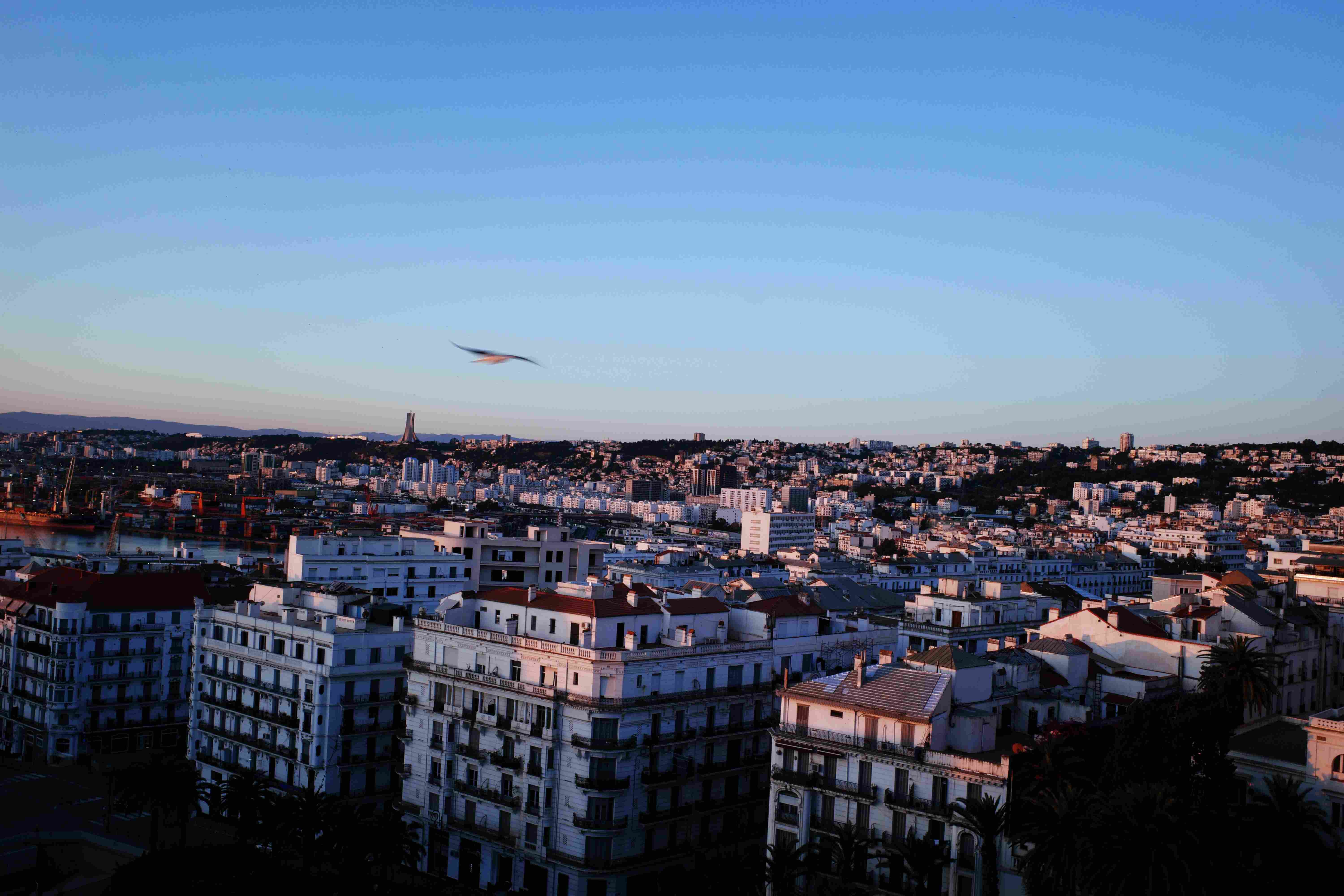 Algiers Default