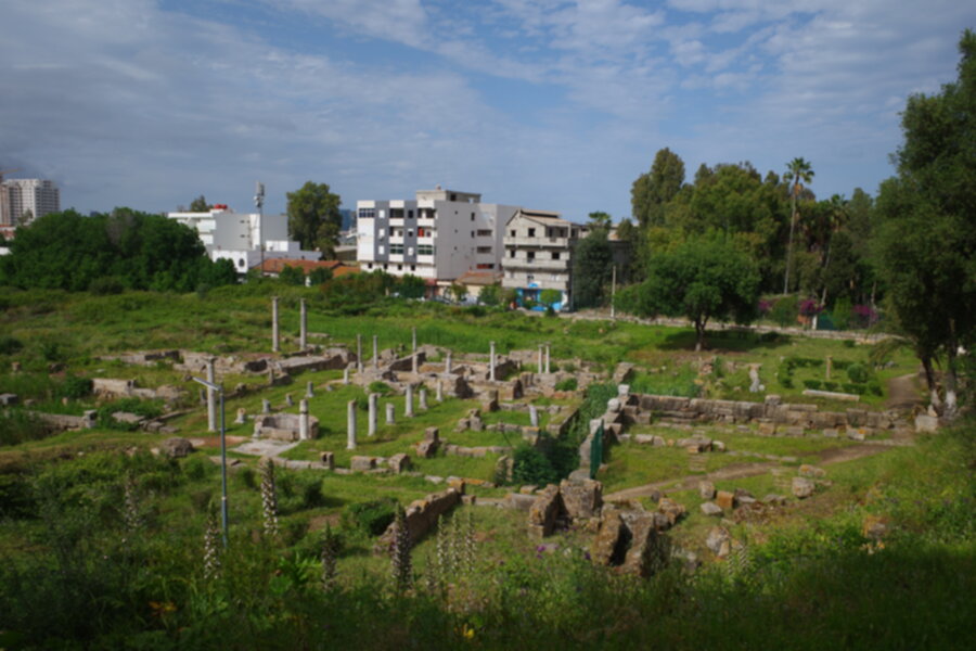 Hippo Regius 900