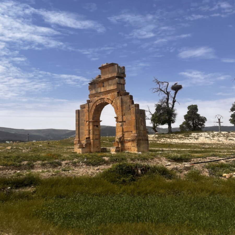 Road To Timgad 900