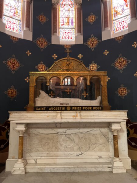 St Augustine Body 600