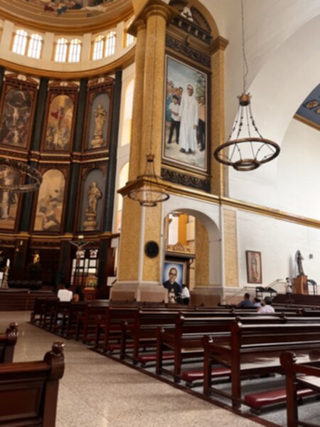 Cathedral 600