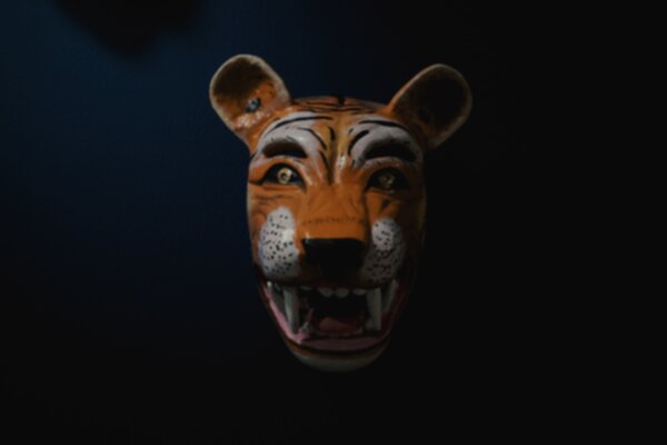 Mask 600