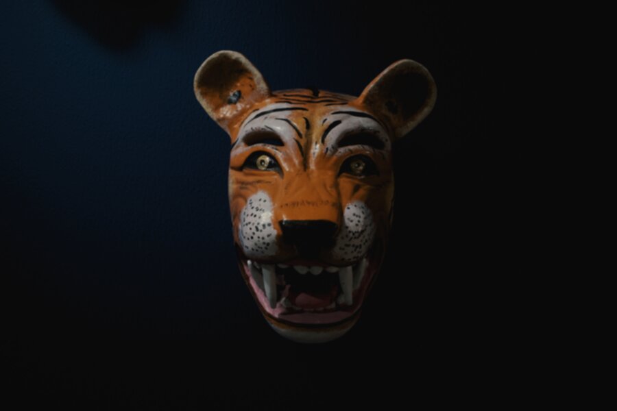 Mask 900
